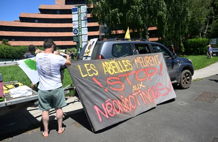 Manifestation contre la loi Duplomb à Pau, dans les Pyrénées-Atlantiques, le 28 juin 2025 ( AFP / Gaizka IROZ )
