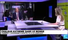 Vagues de chaleur : comment l’organisme s’adapte-t-il à la canicule ?