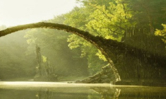 Investir dans la forêt : une bonne idée ?