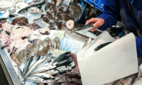 Le label MSC, pour "Marine Stewardship Council", ne garantit pas l'exclusion de pratiques néfastes pour la biodiversité marine ( AFP / CHARLY TRIBALLEAU )