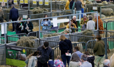 Des visiteurs au Salon de l'agriculture à Paris le 26 février 2026 ( AFP / GEOFFROY VAN DER HASSELT )