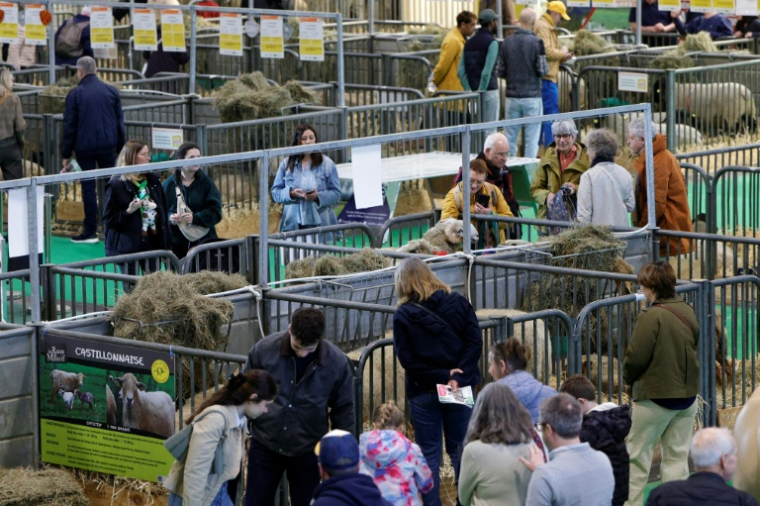 Des visiteurs au Salon de l'agriculture à Paris le 26 février 2026 ( AFP / GEOFFROY VAN DER HASSELT )