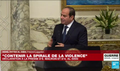REPLAY - Conférence de presse d'Emmanuel Macron et d'Abdel Fattah al-Sissi sur la situation au Proche-Orient