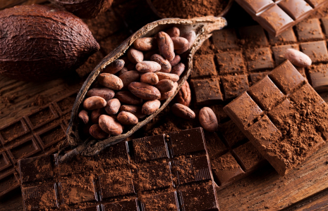 La géographie de la production du cacao a été façonnée par les colonisations, les migrations et les conditions environnementales, notamment sanitaires. (crédit : Adobe Stock)