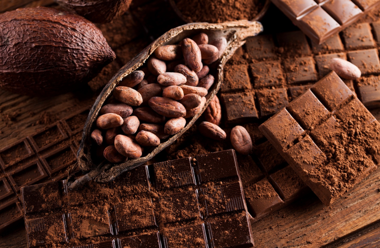 La géographie de la production du cacao a été façonnée par les colonisations, les migrations et les conditions environnementales, notamment sanitaires. (crédit : Adobe Stock)