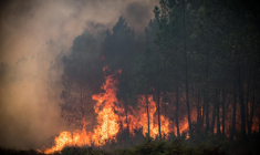 Saumos, près de Bordeaux, le 13 septembre 2022. ( AFP / PHILIPPE LOPEZ )
