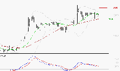 BOIRON SA : L'indécision domine