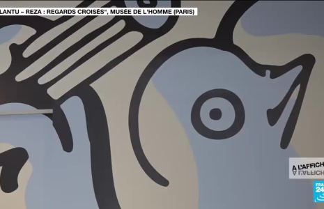 Exposition "Regards croisés" : Plantu-Reza, quand le dessin croise la photo