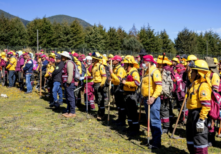 Les membres de la Commission des ressources naturelles et du développement rural (CORENADR) participent aux recherches de restes humains à Ajusco, Mexico, le 23 octobre 2025 ( AFP / GERARDO MAGALLON )