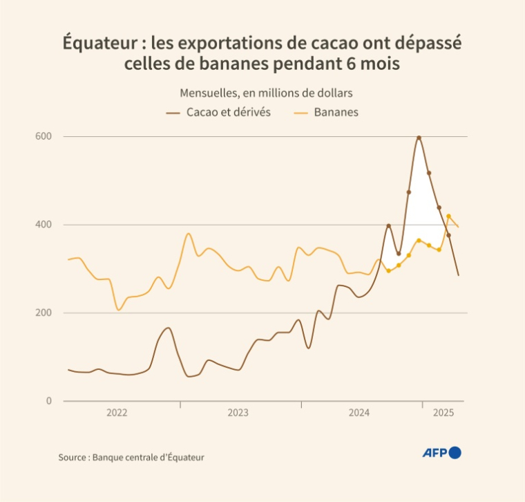 Évolution mensuelle des exportations de cacao et de bananes d'Equateur depuis janvier 2022, en millions de dollars ( AFP / Gabriela VAZ )