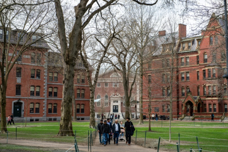Le campus de l'Université Harvard à Cambridge, dans le Massachusetts, le 15 avril 2025 ( AFP / Joseph Prezioso )
