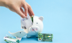 (Crédits photo: © Anna Pecherskaia - stock.adobe.com )