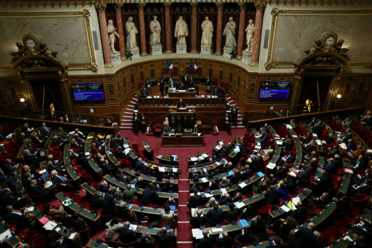 Le Sénat, le 26 novembre 2024 à Paris ( AFP / ALAIN JOCARD )