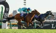 Le pur-sang français Calandagan, monté par Mickael Barzalona, lors d'une course à Tokyo le 30 novembre 2025 ( JIJI Press / STR )