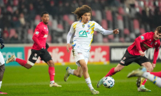 L’OM adopte un jeune Lionceau