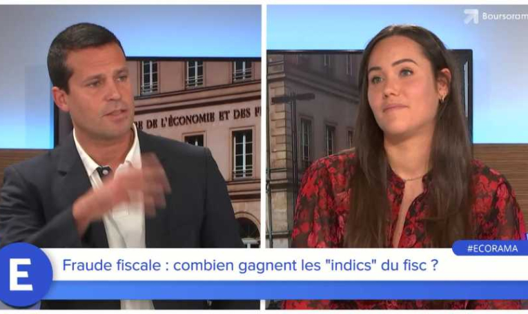 Fraude fiscale : combien gagnent les “indics" du fisc ?