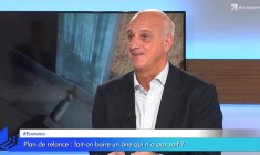 Plan de relance : fait-on boire un âne qui n'a pas soif ?