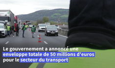 Lyon : une vingtaine de routiers mobilisés contre la hausse des carburants