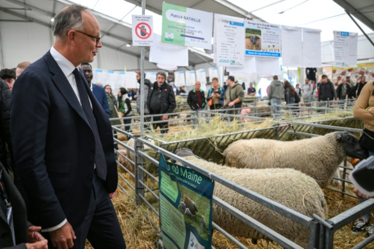 Le candidat Horizons à la présidentielle Édouard Philippe visite le Sommet de l'élevage à Cournon-d'Auvergne, le 9 octobre 2026 dans le Puy-de-Dôme ( AFP / OLIVIER CHASSIGNOLE )
