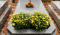 Cimetière du Père Lachaise à Paris le 1er novembre 2024 ( AFP / Gregoire CAMPIONE )