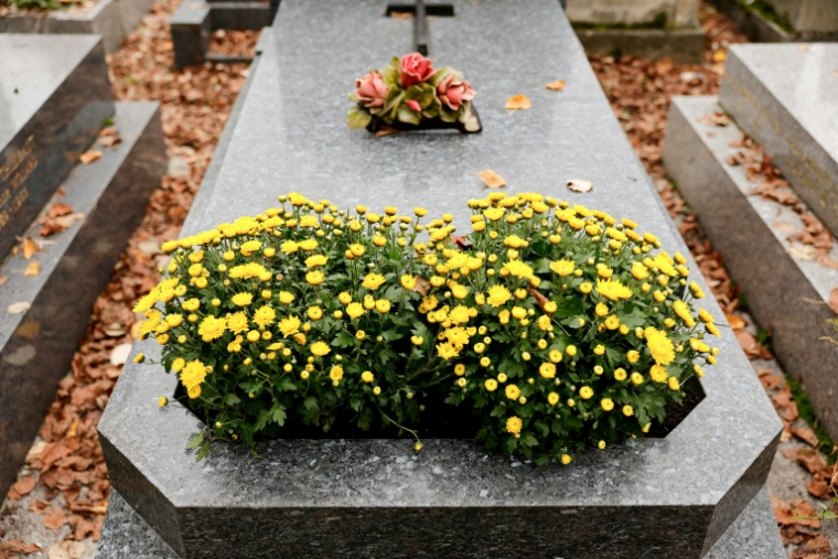 Cimetière du Père Lachaise à Paris le 1er novembre 2024 ( AFP / Gregoire CAMPIONE )