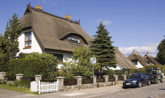 (Crédits photo : Wikimedia Commons - Unukorno )