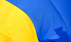 ( AFP / SERGEI SUPINSKY )