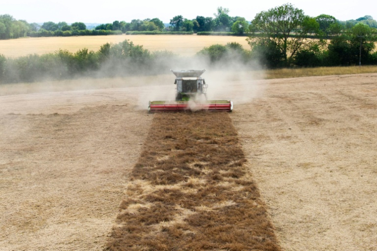 Photo aérienne d'une moisonneuse-batteuse dans un champ de l'Est de l'Angleterre bruni par la sécheresse, dans la ferme de Shimpling park à Bury St Edmunds, le 4 août 2026 ( AFP / Toby Shepheard )