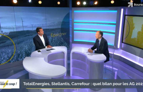 TotalEnergies, Stellantis, Carrefour : quel bilan pour les AG 2023 ?