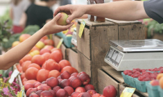 Des outils simples, comme le calendrier des fruits et légumes proposé par l’Ademe ou certaines associations, peuvent aider pour l'achat des produits de saison. Illustration.  (Pexels / Pixabay)
