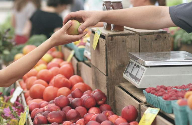Des outils simples, comme le calendrier des fruits et légumes proposé par l’Ademe ou certaines associations, peuvent aider pour l'achat des produits de saison. Illustration.  (Pexels / Pixabay)
