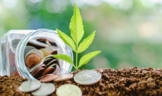 Votre jardin peut-il devenir un petit business lucratif ? / iStock.com - iamnoonmai