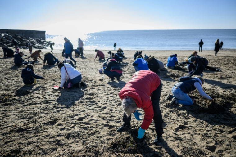 Ramassage de micro-billes de plastique sur une plage à Pornic, le 21 janvier 2023 en Loire-Atlantique ( AFP / LOIC VENANCE )
