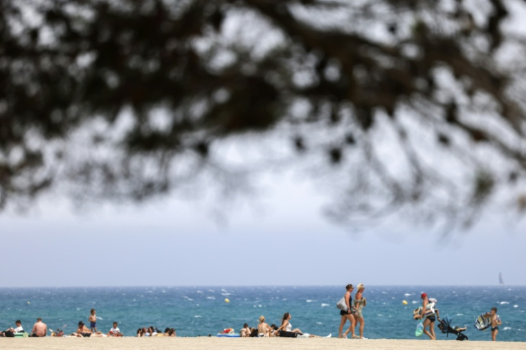 La plage à Argelès-sur-Mer, dans les Pyrénées-Orientales, le 11 juillet 2023 ( AFP / Charly TRIBALLEAU )