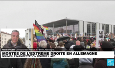 Allemagne : manifestations contre la progression de l'extrême droite et du parti de l'AfD