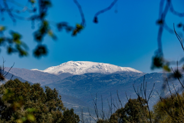 Le mont Hermon visible depuis la ferme laitière Kurlender à Bet Hillel, près de la frontière libanaise dans le nord d'Israël, le 17 mars 2026 ( AFP / Odd ANDERSEN )