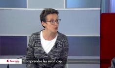 Découvrir l’univers des small cap