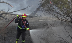 Grèce: des maisons ravagées par un incendie dans une ville près d'Athènes