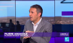 Consommation responsable : "Les labels propres à la pêche ne sont pas fiables"