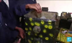 Nigeria : des jeunes mettent la technologie au service de l'agriculture