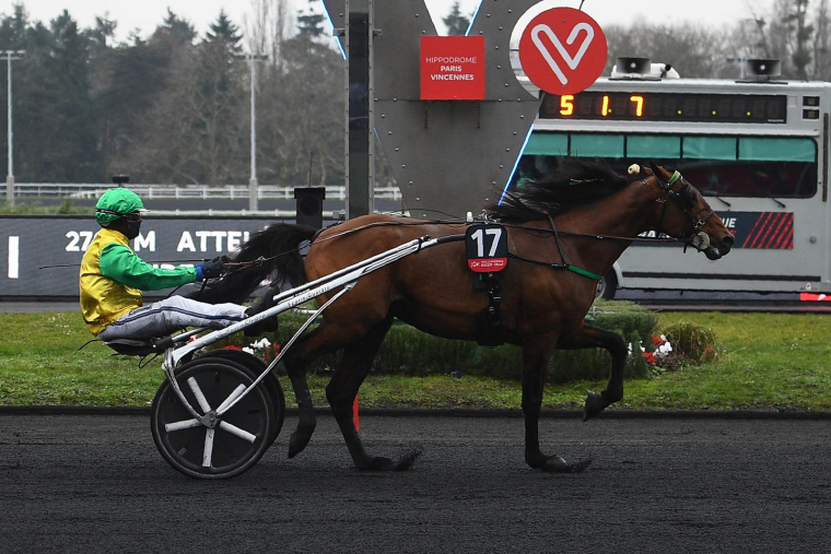 Le PMU va "lancer des animations autour des grandes courses" comme le Prix d'Amérique en janvier ( AFP / CHRISTOPHE ARCHAMBAULT )