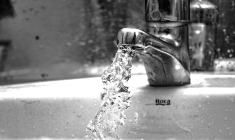 (Crédits photo : Unsplash - Tosab Photography  )