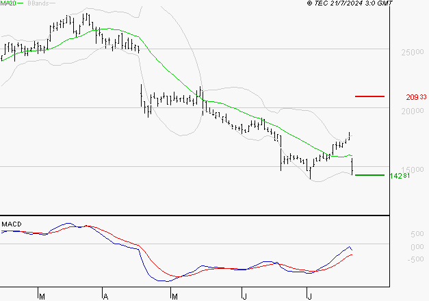 SARTORIUS STEDIM BIOTECH : Attendre un test du support