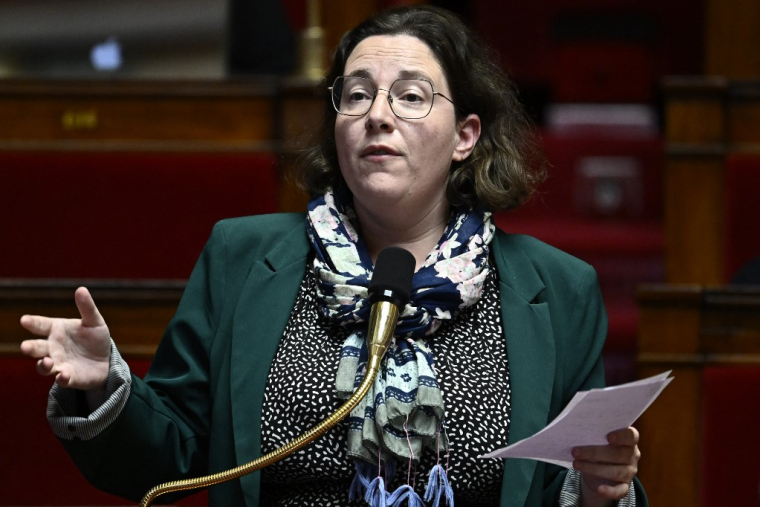 Cyrielle Chatelain, présidente du groupe Ecologiste et Social, le 24 octobre 2024, à l'Assemblée nationale ( AFP / JULIEN DE ROSA )