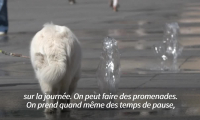 La France débute un "épisode de chaleur précoce mais pas inédit", selon Météo-France