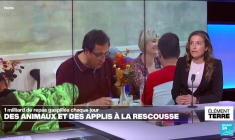 Un milliard de repas gaspillés chaque jour, des animaux et des applis à la rescousse