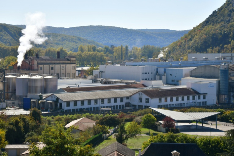 Les papeteries Condat au Lardin-Saint-Lazare, le 13 octobre 2025 en Dordogne ( AFP / PASCAL LACHENAUD )