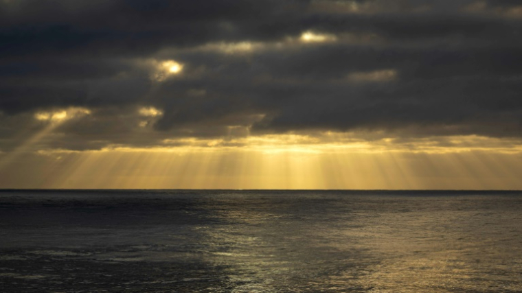 Le traité de protection de la haute mer, dont l'entrée en vigueur est espérée d'ici la fin de l'année, donnera des moyens d'action pour la conservation et la gestion durable de la biodiversité marine dans l'immense partie des océans qui n'appartient à personne ( AFP / PATRICK HERTZOG )