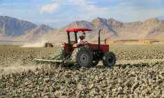 Un agriculteur dans un champ touché par la sécheresse, le 4 juin 2025 dans la région du Kurdistan irakien ( AFP / Shwan MOHAMMED )