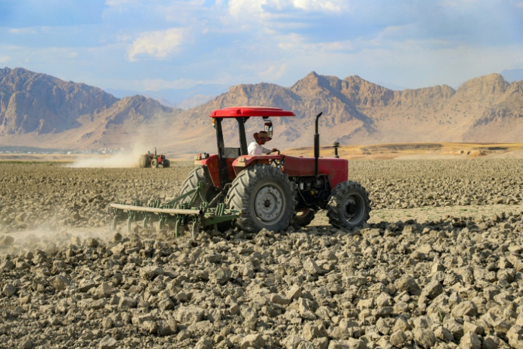 Un agriculteur dans un champ touché par la sécheresse, le 4 juin 2025 dans la région du Kurdistan irakien ( AFP / Shwan MOHAMMED )